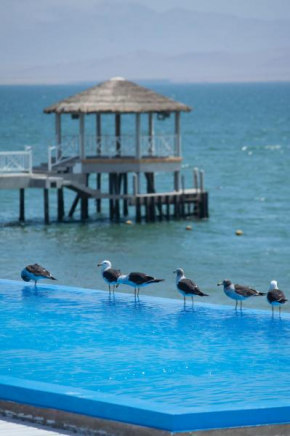 Apartamento Frente a Islas Ballestas